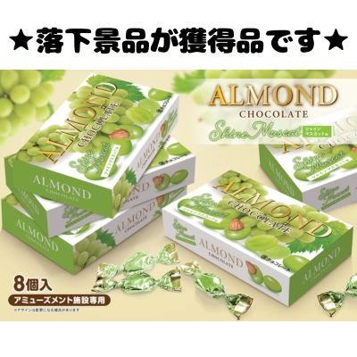 ■Muscat Almond Chocolate Light Box [Best Before Date: 2026/08/31]